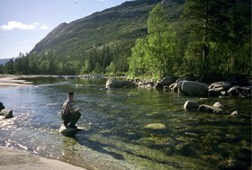 Fiske i Norge